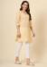 Picture of Enticing Cotton Wheat Kurtis & Tunic