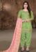 Picture of Chiffon Dark Khaki Straight Cut Salwar Kameez