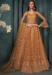 Picture of Ravishing Net Chocolate Lehenga Choli