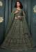 Picture of Shapely Net Dark Olive Green Lehenga Choli