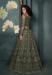 Picture of Shapely Net Dark Olive Green Lehenga Choli