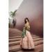 Picture of Superb Rayon Wheat Lehenga Choli