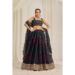 Picture of Pretty Organza Dark Slate Grey Lehenga Choli