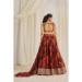 Picture of Shapely Organza Peru Lehenga Choli