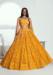 Picture of Lovely Net Dark Golden Rod Lehenga Choli