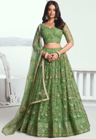 Picture of Magnificent Net Dark Olive Green Lehenga Choli