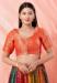 Picture of Resplendent Chiffon Tomato Designer Blouse