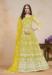 Picture of Beautiful Net Golden Rod Anarkali Salwar Kameez