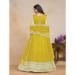 Picture of Beautiful Net Golden Rod Anarkali Salwar Kameez