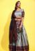 Picture of Fine Silk Dim Gray Lehenga Choli