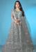 Picture of Shapely Net Light Slate Grey Lehenga Choli