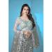 Picture of Shapely Net Light Slate Grey Lehenga Choli