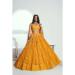 Picture of Alluring Net Sandy Brown Lehenga Choli