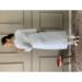 Picture of Charming Rayon White Readymade Salwar Kameez