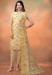 Picture of Grand Cotton Khaki Readymade Salwar Kameez