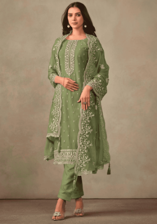 Picture of Organza Dark Khaki Straight Cut Salwar Kameez