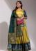 Picture of Appealing Silk Khaki Lehenga Choli