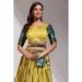 Picture of Appealing Silk Khaki Lehenga Choli