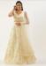 Picture of Exquisite Net Light Golden Rod Yellow Lehenga Choli