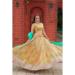 Picture of Shapely Organza Dark Khaki Lehenga Choli