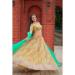 Picture of Shapely Organza Dark Khaki Lehenga Choli