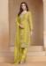 Picture of Chiffon & Organza Khaki Straight Cut Salwar Kameez