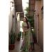 Picture of Delightful Silk Dark Khaki Saree