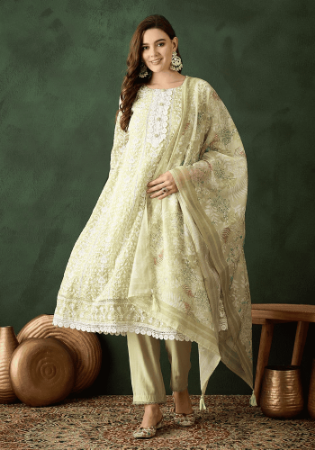 Picture of Silk & Organza Off White Readymade Salwar Kameez