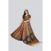 Picture of Sightly Silk Tan Saree