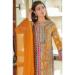 Picture of Chiffon & Silk Peru Straight Cut Salwar Kameez