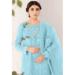 Picture of Organza Light Blue Straight Cut Salwar Kameez