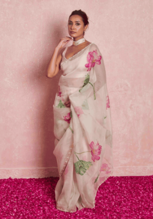 Picture of Splendid Organza Thistle Saree