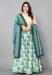 Picture of Delightful Satin & Silk Pale Turquoise Lehenga Choli