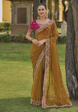 Picture of Taking Silk & Organza Sienna Saree