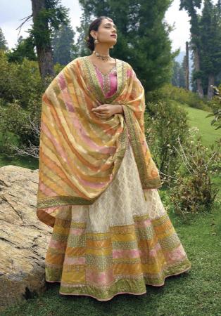 Picture of Wonderful Silk Dark Khaki Lehenga Choli