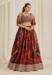 Picture of Shapely Organza Peru Lehenga Choli