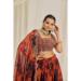 Picture of Shapely Organza Peru Lehenga Choli