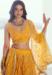 Picture of Lovely Net Dark Golden Rod Lehenga Choli