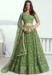 Picture of Magnificent Net Dark Olive Green Lehenga Choli