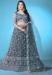 Picture of Classy Net Dark Slate Grey Lehenga Choli