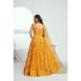 Picture of Alluring Net Sandy Brown Lehenga Choli