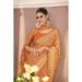 Picture of Graceful Chiffon Peru Saree