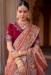 Picture of Sublime Silk & Organza Light Salmon Saree