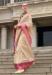 Picture of Exquisite Silk Tan Saree