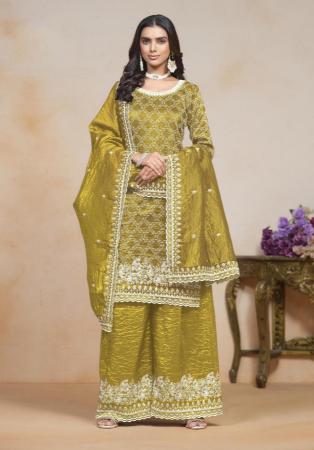 Picture of Chiffon Dark Khaki Straight Cut Salwar Kameez