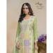 Picture of Organza Dark Khaki Straight Cut Salwar Kameez