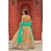 Picture of Shapely Organza Dark Khaki Lehenga Choli