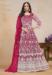 Picture of Splendid Net Deep Pink Party Wear Gown