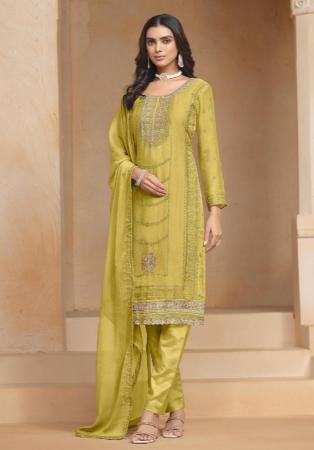 Picture of Chiffon & Organza Khaki Straight Cut Salwar Kameez