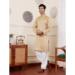 Picture of Stunning Chiffon Tan Kurtas